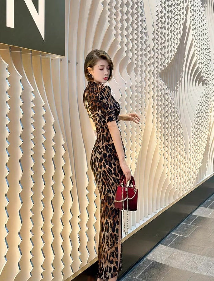 Stylish sexy leopard print dress.