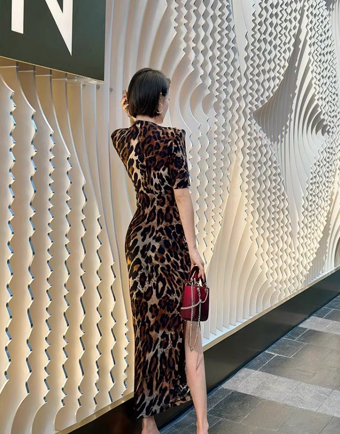 Stylish sexy leopard print dress.