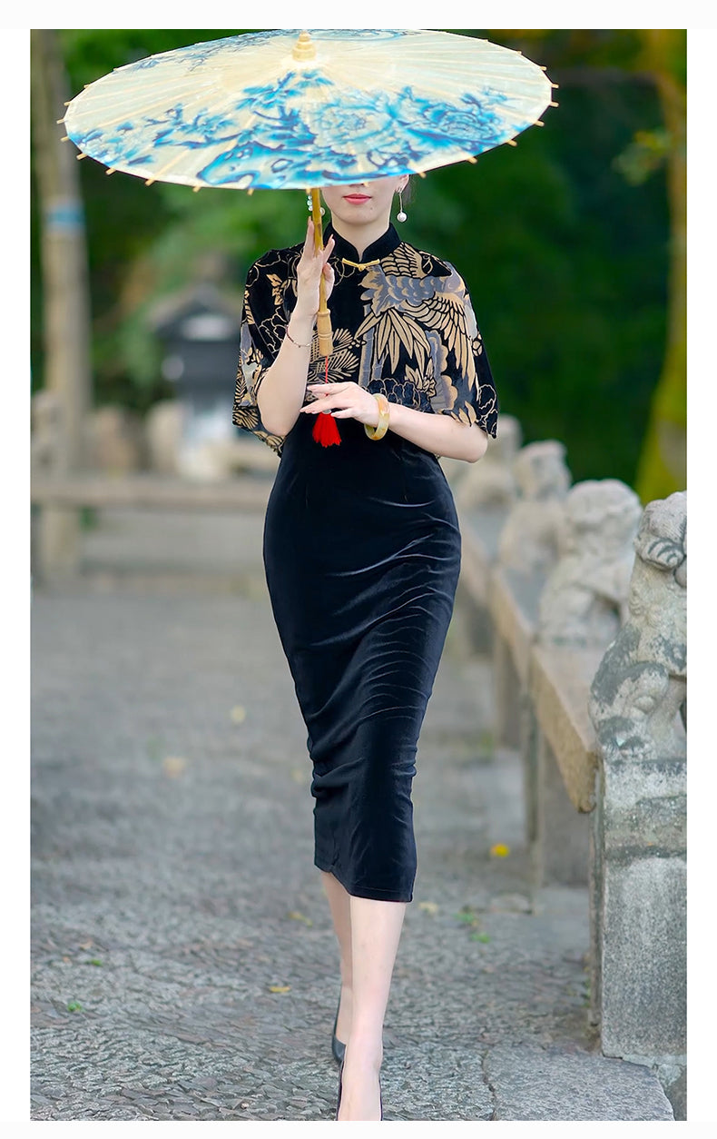 Traditional Chinese dress. Black velvet Cheongsam and shawl. Elegant evening dresses.
